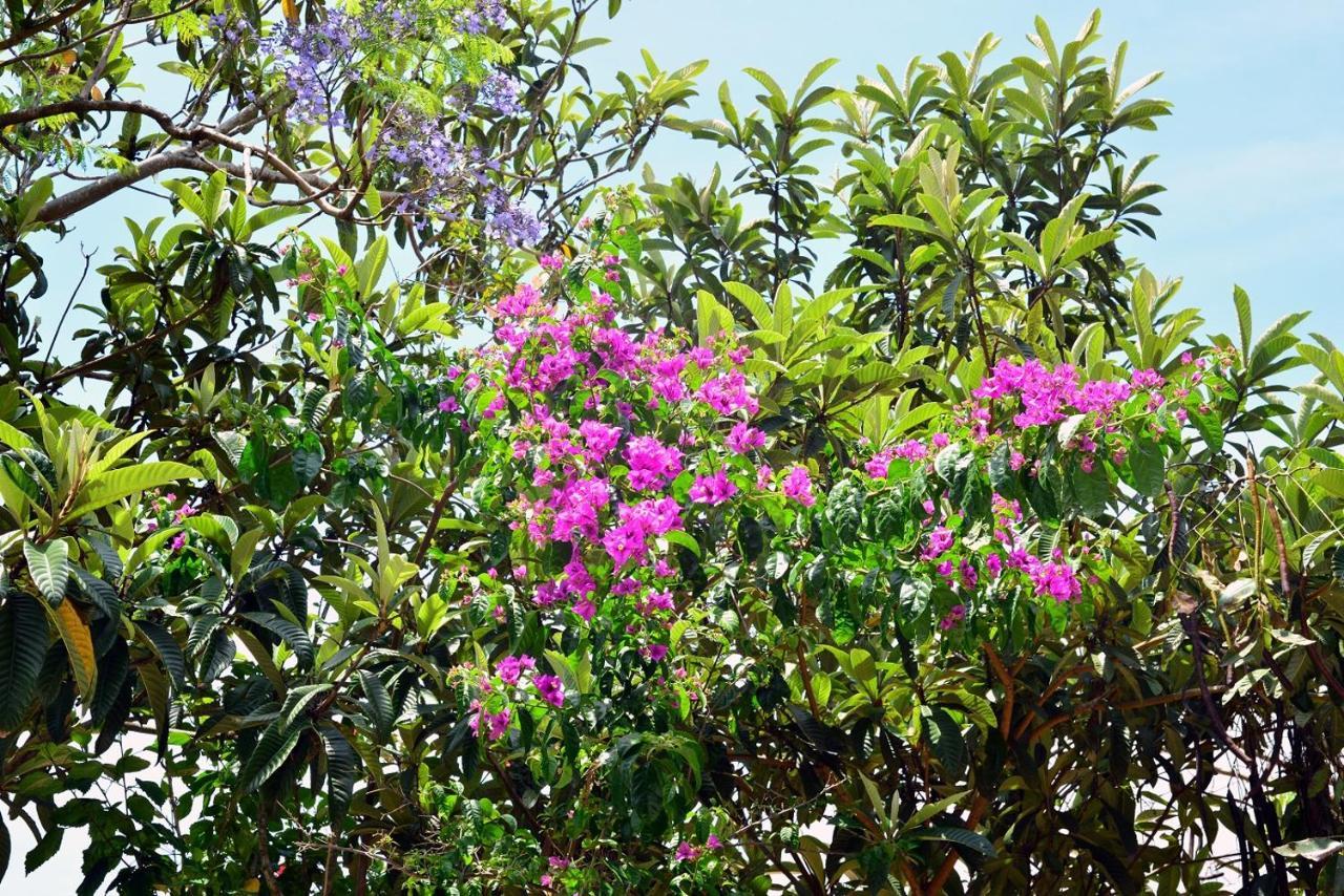 Hotel Pousada Arquipélago Florianópolis Esterno foto